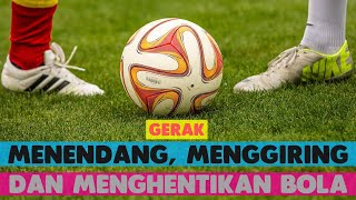 GERAK MENENDANG MENGGIRING DAN MENGHENTIKAN BOLA  Materi PJOK [upl. by Denbrook]