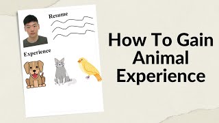 How To Gain Animal Experience For Your Vet School Application  A Helpful Guide [upl. by Koziarz]