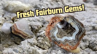 First Fairburn Agate Hunt Of 2024 [upl. by Macdougall302]