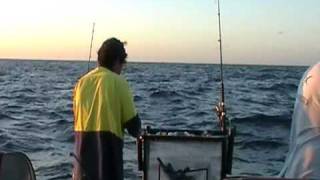 Barwon Banks Fishing Trip [upl. by Vassily]