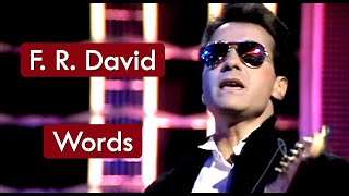 F R David  Words  Música com Tradução [upl. by Sakovich684]