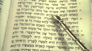 Kohelet  Ecclesiastes Reading the entire book Hebrew Sukkot Rabbi Weisblum מגילת קהלת קריאה סוכות [upl. by Rhetta]