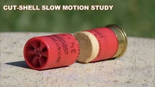 CUTSHELLS Slow Motion Study  How do they work [upl. by Neenad694]