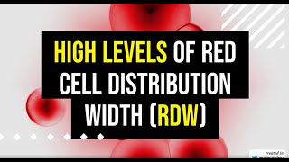 High levels of red cell distribution width RDW [upl. by Erde984]