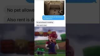 quotNo Pets Allowed In The Buildingquot Funny Meme messages message Mario [upl. by Aikin]