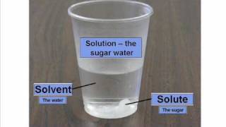 Solute and Solvent  Dissolving [upl. by Yvor]