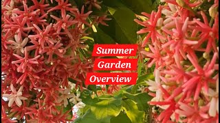 Summer Garden Tour 💮🏵  Mint Tower ☘️🌿🍀  Beautiful Garden  Kitchen garden viral trending garden [upl. by Geno]