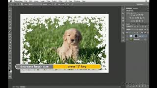 Photoshop Tutorial  How to create custom borders [upl. by Gitlow257]