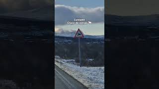 Señales de Noruega 🇧🇻🤭 noruega norway peruana norge roadtrip roadtripnorway winter nieve [upl. by Clerissa]