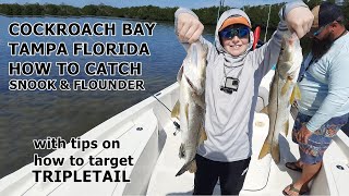 Cockroach Bay Tampa Florida Tips on how to catch Tripletail Cobia Cow Noised Rays Flounder Snook [upl. by Anpas]