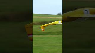 LF107 Luňák  36m aerobatic scale RC glider rcglider rcaerotow [upl. by Atiuqad357]