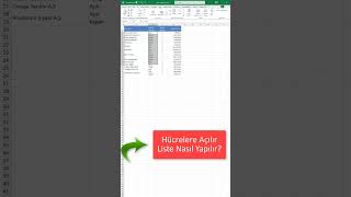 Excelde Hücrelere Açılır Liste Eklemek excel excelpratik datadashboard [upl. by Sairu525]