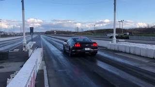 2016 Mustang GT 14 Mile 1037  1335 MPH Edelbrock EForce 2300 [upl. by Aihsoj]