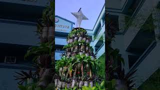 Christmas Vibes 2024 Featuring 2021 Ecofriendly Christmas Tree at the Imus Institute [upl. by Ransell]