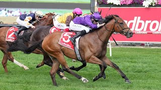 Charterhouse wins the 2023 Ladbrokes Cranbourne Cup [upl. by Graybill181]