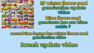 27 variety winter flower seed germination update video [upl. by Ettenhoj497]