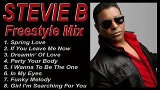 Stevie B  Mega Mix  DJ Paul S [upl. by Okier642]