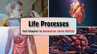 Life Processes Class 10 Science Biology  One Shot Full Chapter in Animation  With PDF Notes [upl. by Eilsil428]