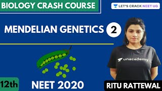 Mendelian Genetics  Part 2  Biology Crash Course  Class 12th  NEET Biology  NEET 2020 [upl. by Aanas]