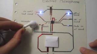 Electret microphone example card [upl. by Geanine]