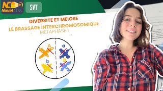 Méiose et diversité génétique  SVT Terminale [upl. by Ahsyla]