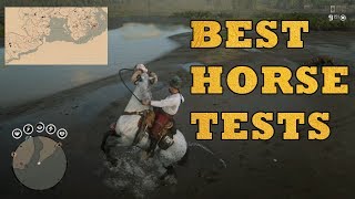 Best horse in red dead online after update  Tests [upl. by Hannavas]