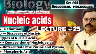 Nucleic Acids Definition Composition DNA RNA Biology class 11 Biomolecules in hindi amp Urdu [upl. by Eelta]