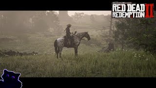 Red Dead Redemption 2  Free roam riding Brown Leopard Appaloosa Horse [upl. by Enrahs]