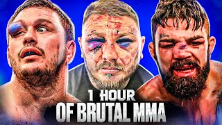 1 Hour Of Knockouts amp Brutal MMA Moments [upl. by Iney330]