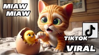 The Kitten and the Chick  A Friendship Sad Story Miaw Miaw Miaw Miaw Sad Song Cat Visual [upl. by Catto788]