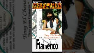 ❤️🎧Cassettes  up 👍shorts music love flamenco foryou trending short parati song new usa [upl. by Ablem286]