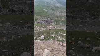 Stables n farms in mountains of pakistan [upl. by Yewed]