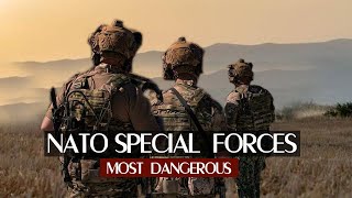 NATO  Elite Special Forces 2024 [upl. by Simonne]