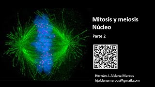 Mitosis y meiosis Parte 2 Hernán Aldana [upl. by Clarette]