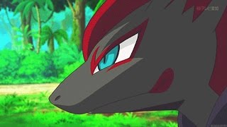 Zorua amp Zoroark  Look through My Eyes AMV [upl. by Corrianne]