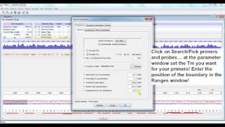 Primer design with Oligo 7 for qPCR SYBR green detection [upl. by Safier]