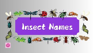 Insecets namesInsect names learning for kidz [upl. by Lewanna]