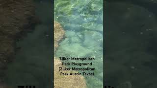 Zilker Metropolitan Park Playground Zilker Metropolitan Park Austin Texas chill lofi music [upl. by Enaid]