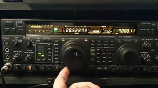 YAESU FT1000MP RX 10m usb [upl. by Rother527]