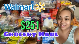 Walmart Grocery Haul Summer Break July 2024 [upl. by Ahsim72]