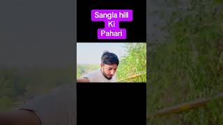 Sangla hill Ki Pahari funny jerryworld comedy comedyfilms vlog [upl. by Ruenhs41]