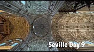 19124  Seville Day 9 [upl. by Pierro]