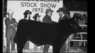 I Am Angus  RFDTV  National Western Stock Show [upl. by Stanfill131]