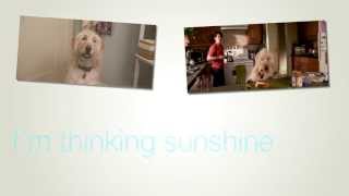 Diary of a Wimpy Kid Dog Days  Max amp Simon Im Thinking Sunshine Lyric Video [upl. by Lertram120]