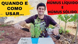 COMO PREPARAR E APLICAR A CALDA DE HÚMUS LÍQUIDO DE MINHOCA SERÁ MELHOR QUE O HÚMUS SÓLIDO Ep28 [upl. by Amerd669]