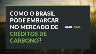 Como o Brasil pode embarcar no mercado bilionário de créditos de carbono [upl. by Edgar763]