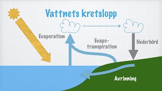 Vattnets kretslopp [upl. by Cybill]