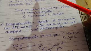 photosynthesis 2 phases of photosynthesis [upl. by Ruphina]