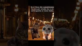 Gatto Spuntino Notturno shorts gatto catmemes memes [upl. by Carroll]