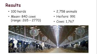 Monitoring and managing metabolic diseases in the transition cow [upl. by Auqeenwahs680]